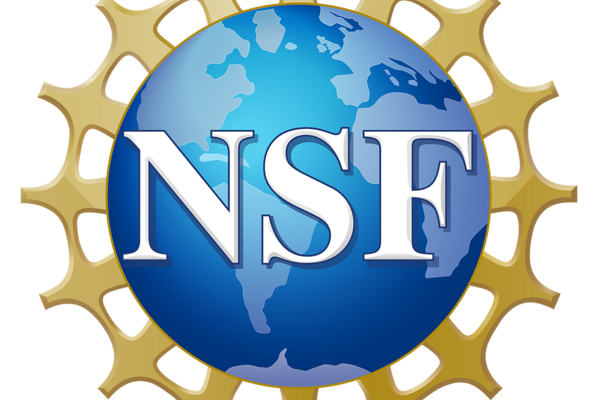 Nsf Official Logo High Res 1200ppi